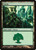 Forest (DDM) (#88)