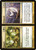 Supply // Demand (DIS) (Foil) (#157)