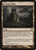Evolving Wilds (DKA) (Foil) (#155)