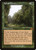 Sylvan Library (DMR) (#350)