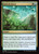 Growth Spiral (DSC) (#88)