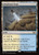 Floodfarm Verge (DSK) (#259)