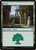 Forest (ELD) (Foil) (#269)
