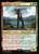 Gladiolus Amicitia (FIN) (Foil) (#224)