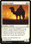 Solitary Camel (HOU) (#23)