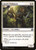 Ajani's Pridemate (IMA) (#5)
