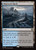 Shipwreck Marsh (INR) (#284)