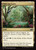 Thriving Grove (J25) (#776)