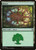 Forest (JMP) (#72)