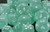 Frosted Teal / White 7 Dice Set - CHX27405