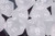 Frosted Polyhedral Clear/white d20 - PF2011