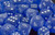 Frosted 16mm d6 w/pips Blue/white - DF1606