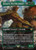 Fangorn, Tree Shepherd (LTR) (Borderless) (#415)
