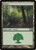 Forest (M10) (#248)