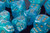 Polyhedral Blue w/gold d8 - PP0876