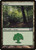Forest (M11) (Foil) (#248)