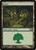 Forest (M12) (#247)