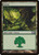 Forest (M12) (Foil) (#248)