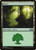 Forest (M15) (Foil) (#269)