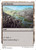 Ash Barrens (MB2) (#103)