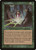 Land Grant (MMQ) (Foil) (#255)