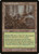 Hickory Woodlot (MMQ) (#319)