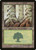 Forest (MMQ) (#350)