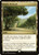 Exotic Orchard (NEC) (#168)