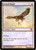 Suntail Hawk (10E) (Foil) (#50★)