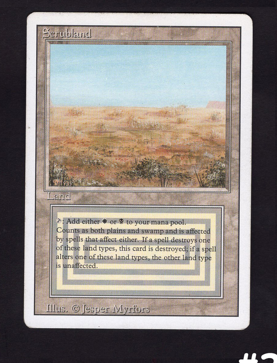 Scrubland (#363)
