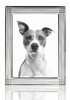 'Pinstripe' 8x10 Non-Tarnish Sterling Silver Picture Frame