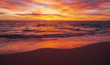 Glutathione in Summer: A Simple Guide to Your Body’s “Master Antioxidant”