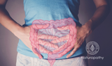 Toxins pour out from the gut/ Dysbiosis