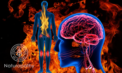 Chronic Inflammation causes cardiovascular disease, Alzheimer's disease, Cancer, and Aging.