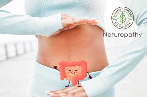 Boost Weight Loss and Gut Health Naturally: Discover How SCFAs and GLP-1 Secretion Work Together!