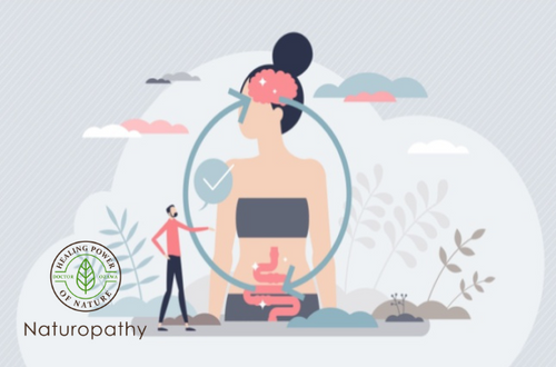 The Shocking Link Between Stress and Your Gut: 3 Steps to Keep Your "Second Brain" Happy