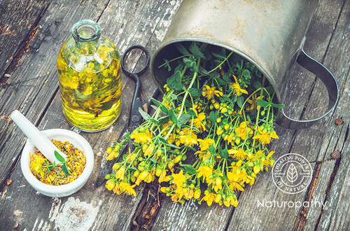 Exploring the Benefits and Uses of St. John's Wort