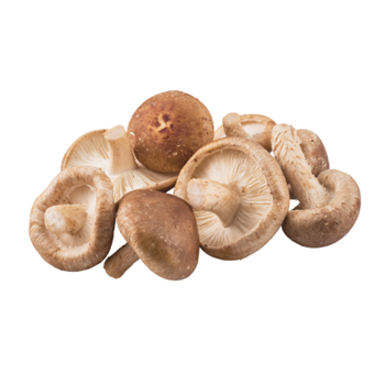 Shiitake Mushroom