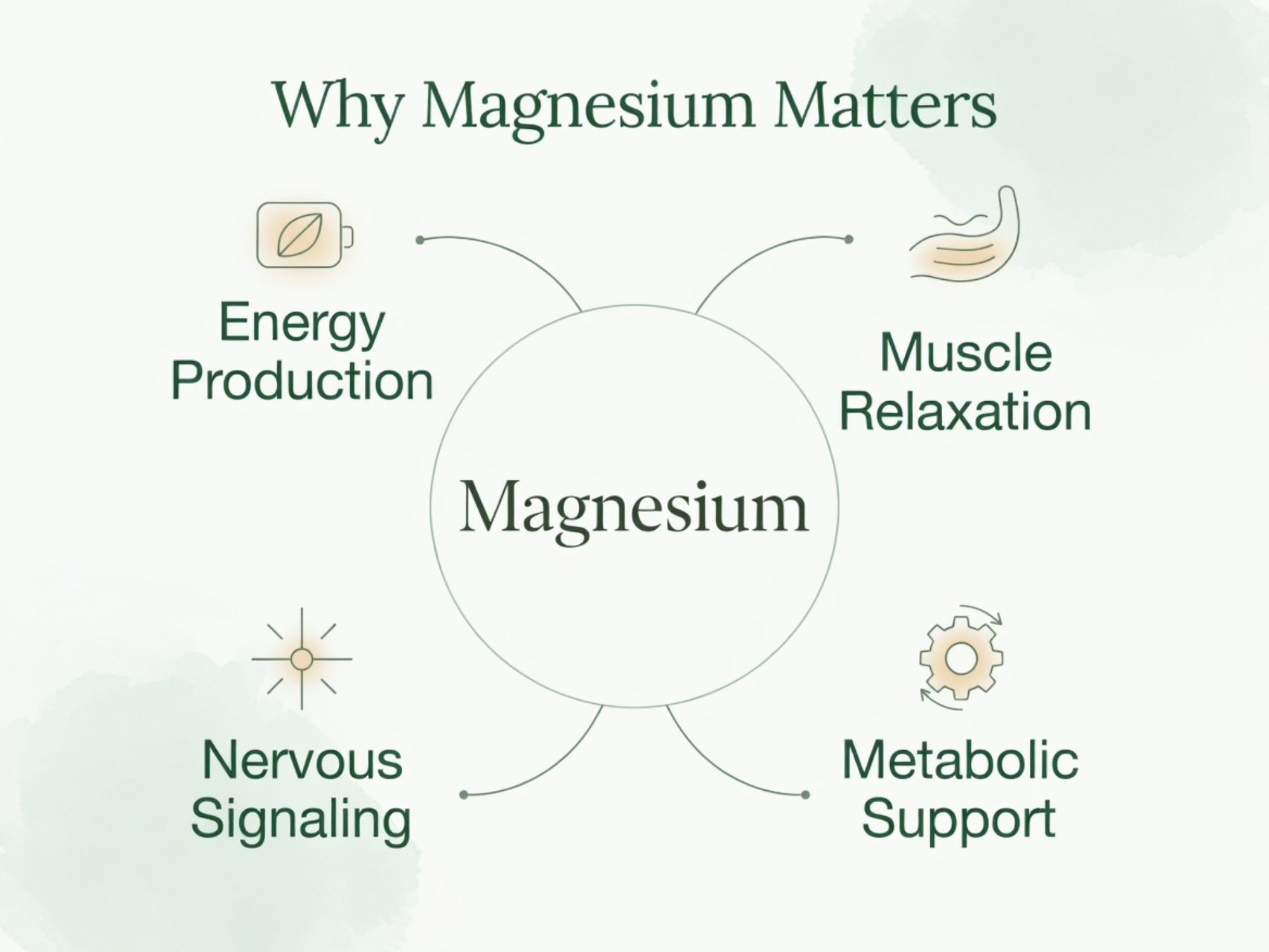 Why magnesium matters infographic