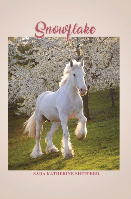 Snowflake - eBook