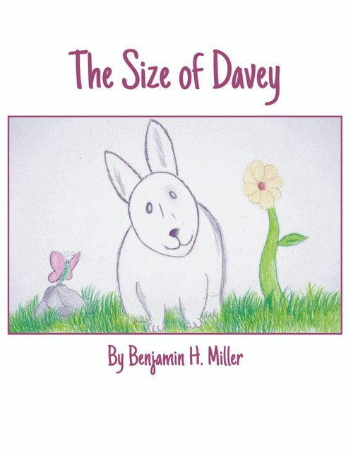 The Size of Davey - eBook