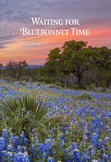 Waiting for Bluebonnet Time - ebook Waiting for Bluebonnet Time - ebook