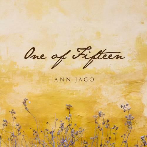 One of Fifteen - Audiobook