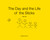 The Day and the Life of the Sticks: This Is Us - ebook