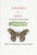 Caterpillars to Moths: The Metamorphosis Stages