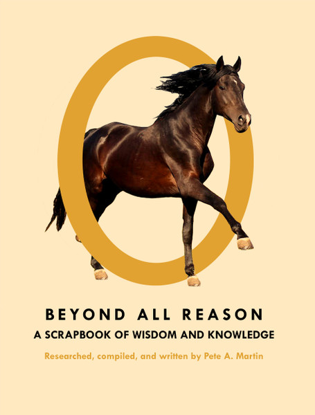 Beyond All Reason - eBook