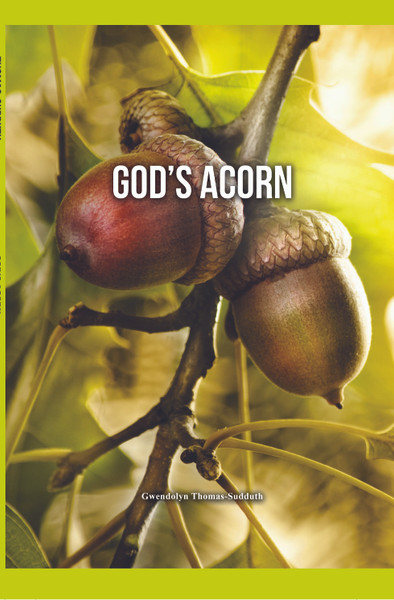 God’s Acorn 