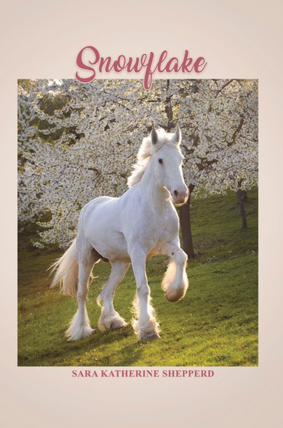 Snowflake - eBook
