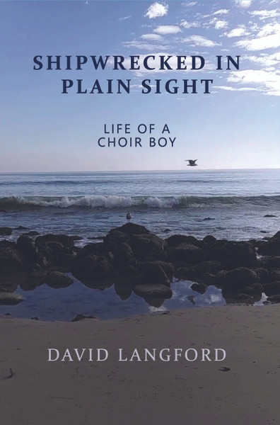Shipwrecked in Plain Sight - eBook
