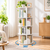 360° Rotating Bookshelf Bookcase Display Storage Shelf – White 3/4/5/6 Tier